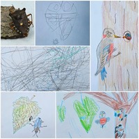 Collage aus handgezeichneten Naturstudien mit Blättern, Pflanzen, Insekten und einem Vogel in Bleistift und Farbe.
